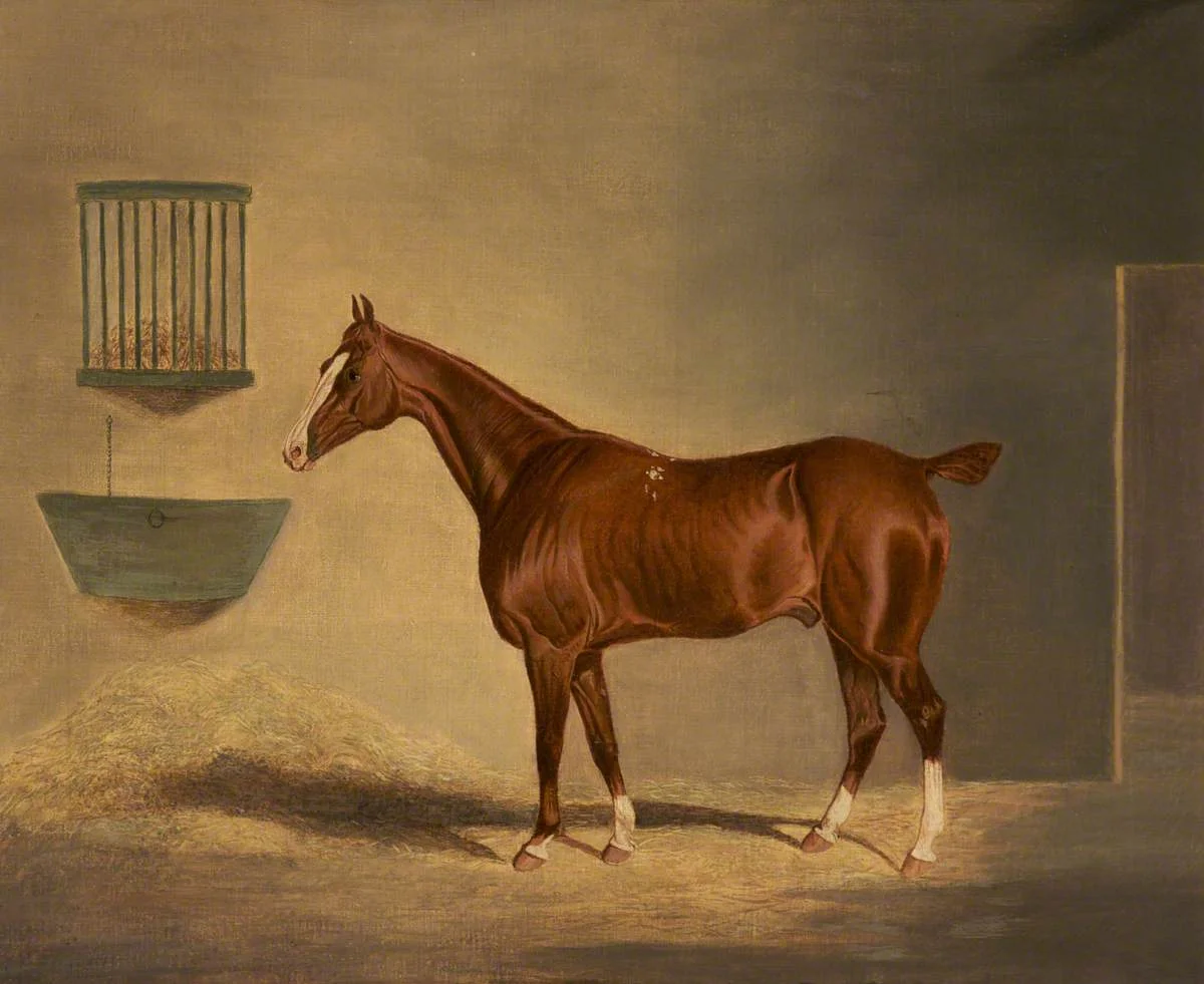 Caballos